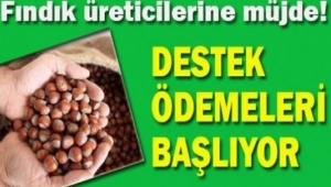 Ordu da Alan bazlı destekleme ödemeleri cuma gününden itibaren ödenmeye başlıyor