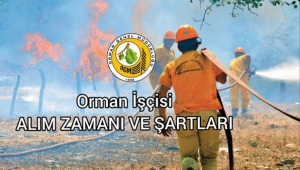 Orman Genel Müdürlüğü'nün işçi alımına ilişkin ilanı yayımlandı