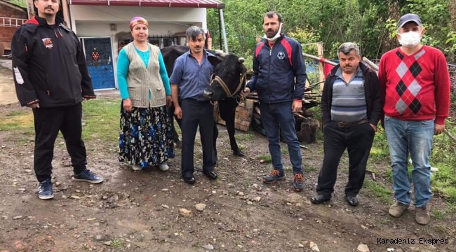 SAYACALI YİNE ELELE KOMŞUNUN YARASINI SARDI 