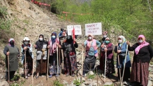 Ulaştırma ve Altyapı Bakanlığı'ndan İkizdere açıklaması