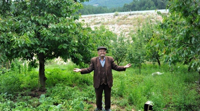 Ülkemizde yeni gündeme gelen Gıda Ormanlarının belkide ilk örneği..