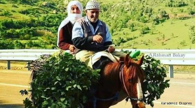65 YAŞTAN SONRA GELEN DEĞİŞİKLİKLER