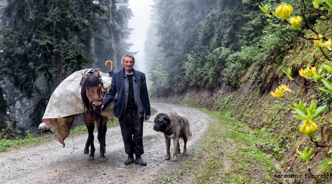 Adelet mahkemede öldü, sayenizde Hakim Beğ...