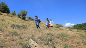 Bup Dağı'nı aşan sağlık ekipleri 1700 rakımdaki Kartal Yaylası'nda arıcıları aşıladı