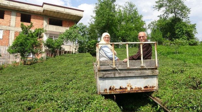 Doğu Karadenize raylı sistemi onlar getirdi