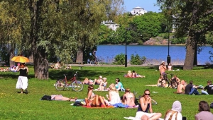 'Dünyanın en mutlu ülkesi' Finlandiya duyurdu: Yabancı işçiye ihtiyacımız var 