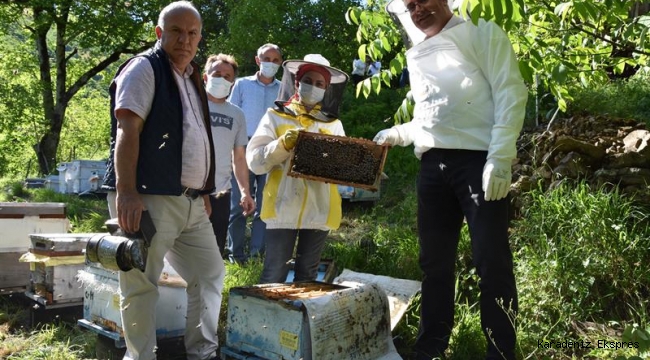 Ordu Gürgentepe'li Genç Çiftçimiz 40 Kovan Arısını 100 Kovana Çıkarttı