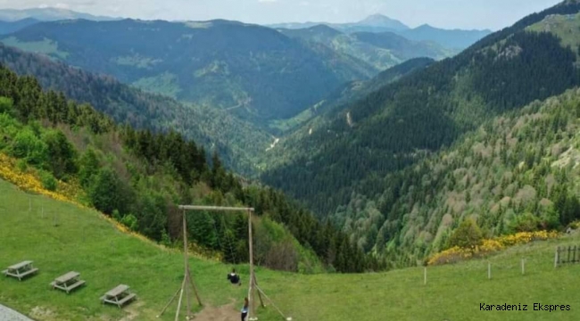 Giresun 'un Koçkaya Oba Yaylası ziyaretçilerini ağırlıyor