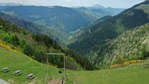 Giresun 'un Koçkaya Oba Yaylası ziyaretçilerini ağırlıyor