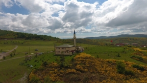 Ordu'nun doğa harikası yaylası orman gülleriyle cezbediyor 