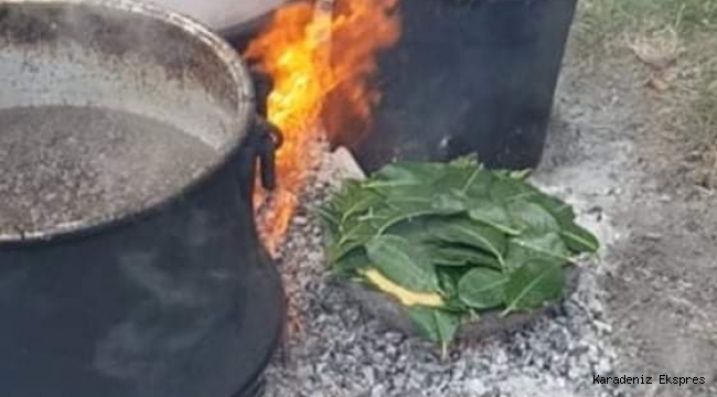 Ordu Ulubeyli Ünal Gümüş bileki ekmeğini belgesel yaptı