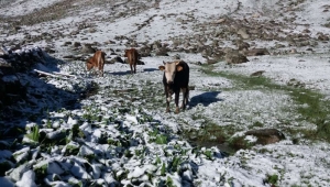 Rize'de kar sürprizi