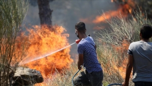 AFAD'dan yangınlardaki son duruma ilişkin açıklama