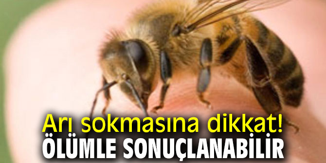 Arı Sokması Ölüme Neden Olur Mu?