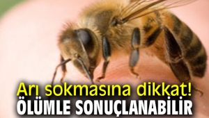 Arı Sokması Ölüme Neden Olur Mu?