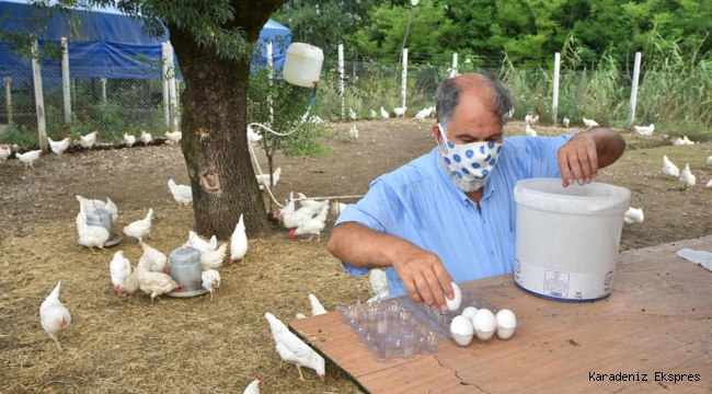  ÇARESİZLİK, ÜRETİMLE UMUDA DÖNÜŞÜYOR