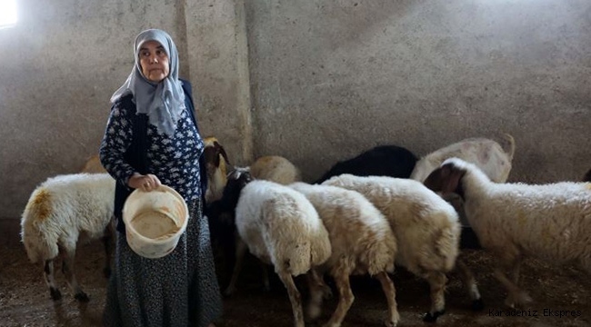 ‘Kadınsın yapamazsın’ dediler, kendi çiftliğini kurdu