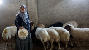 ‘Kadınsın yapamazsın’ dediler, kendi çiftliğini kurdu