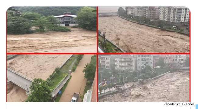 Karadeniz yine sele teslim: Dereler taştı, ev ve iş yerlerini su bastı