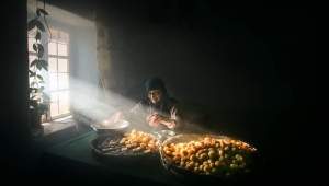 MALATYA BATTALGAZİ'DEN FATSA'YA BİRİNCİLİK ÖDÜLÜYLE DÖNDÜ