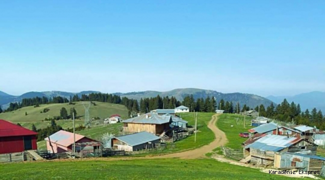 Uzunalan Yaylası Dereli GİRESUN