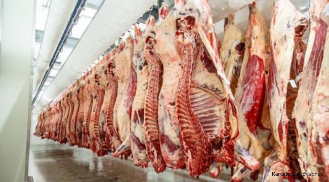 Bosna Hersek’ten canlı büyükbaş hayvan ile domuz, at, eşek ve katır sakatatları ile birçok kalem ürün vergiden muaf olarak ithal edilebilecek...