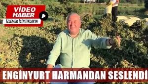 DP Ordu Milletvekili Cemal Enginyurt, fındık harmanından seslendi: Fındık 35 Tl olmalı...