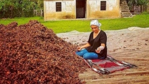 FINDIĞI İŞLEYEREK EVLERİMİZDE YAPIP SATMAYI ÖĞRENMELİYİZ