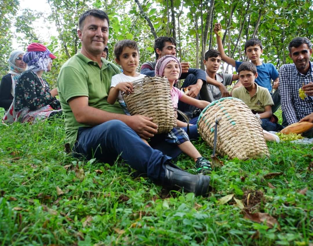 Fındık üreticisini TMO ikinci kez mağdur ediyor!