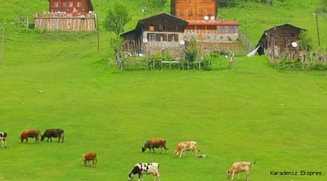 İklim kaynaklı bir diğer felaket kapıda: Bu kez herkes etkilenecek