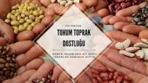 KAPİTALİZM GIDA DEGİL AMBALAJ SATAR !