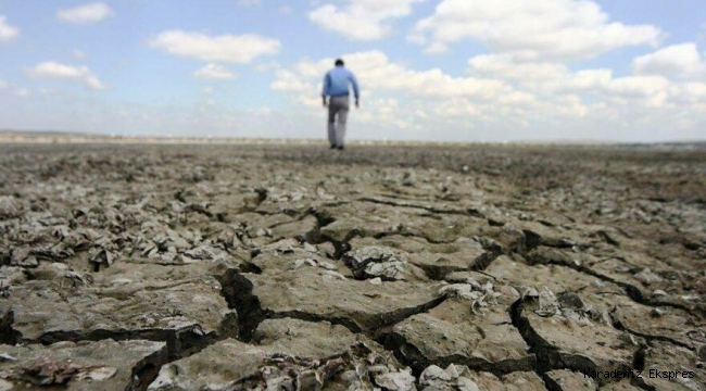 Kazakistan’da küresel ısınma nedeniyle tahıl alanları kurudu, binlerce hayvan telef oldu