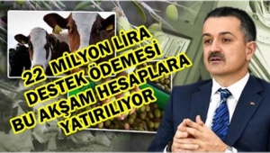 BAKAN PAKDEMİRLİ: “YAKLAŞIK 22 MİLYON LİRALIK DESTEK ÖDEMESİNİ BUGÜN AKŞAM ÜRETİCİLERİMİZİN HESAPLARINA AKTARACAĞIZ”