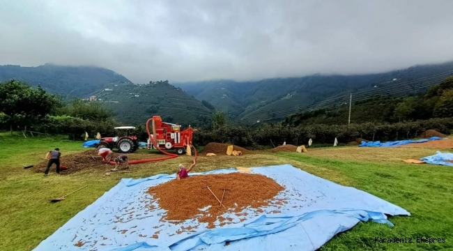 Bir üreticinin kaleminden FINDIK GERÇEĞİ..