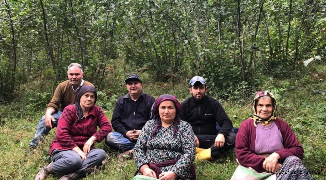 Fındık hasadı bitti, tersine göçle vakalar düştü 