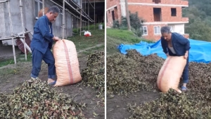 Giresun'da fındık üreticileri 'güneş duası'na çıktı 