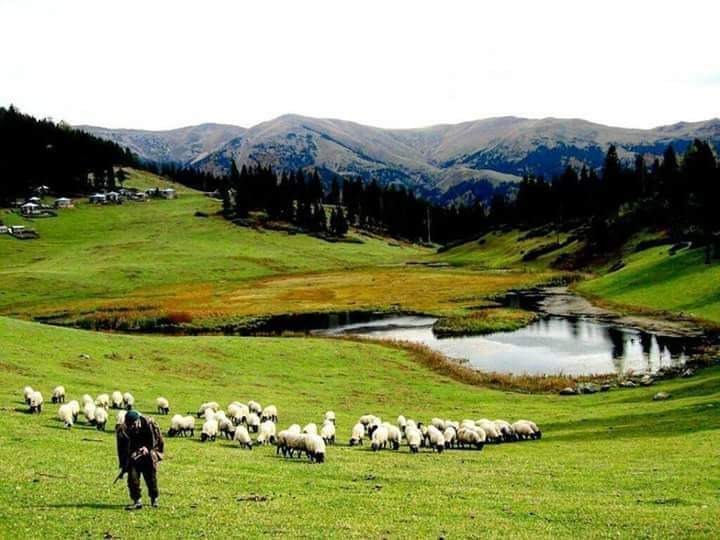 Herşey kitaplarda yazdığı gibi olmayabilir!... 