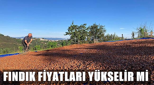 Serbest piyasada fındık fiyatları ne oldu