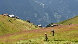  DOĞA ve TARIM