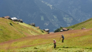  DOĞA ve TARIM