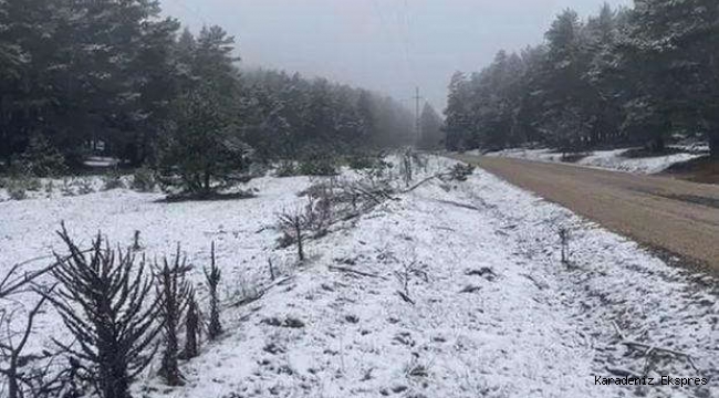 Meteoroloji peş peşe uyarmıştı! 3 kent beyaza büründü