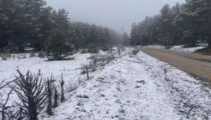 Meteoroloji peş peşe uyarmıştı! 3 kent beyaza büründü