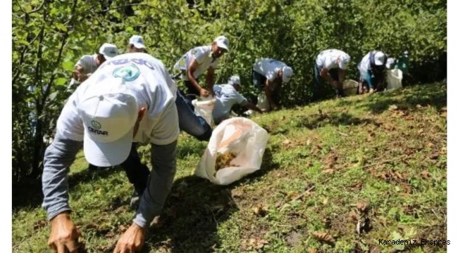 Poyraz: Ordu ve Giresun'da fındığı kaldırın heyelan olur, fındık bahçeleri derelere uçar