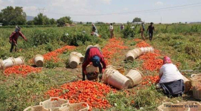 %50 devlet desteği ile müracaat edebileceğiniz makine ve ekipman listesi.. 