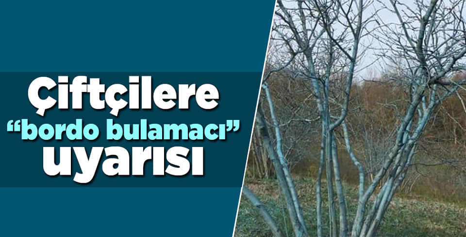 ÇİFTÇİLERE BORDO BULAMACI ÖNERİSİ