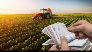 Detaylar netleşti: Çiftçiye dev destek ödemesi geliyor!