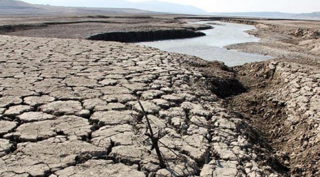 En çok tarım alanları etkilendi: Türkiye'de yağışlar son 20 yılın en düşük seviyesinde