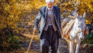 Eşek ağaca bağlıydi ! Şeytan geldi ve ipini çözdü!! 