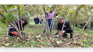 ORDU'DA 