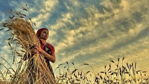Çiftçi sayısı azalıyor, gençler ilgi duymuyor… 